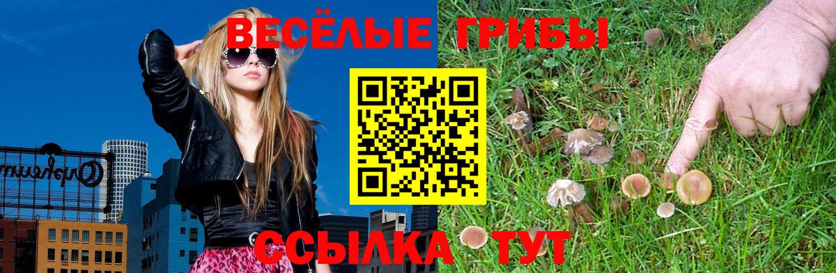 Строитель  Галлюциногенные грибы прущие грибы  Псилоцибиновые грибы GOLDEN TEACHER  Вход с VPN 