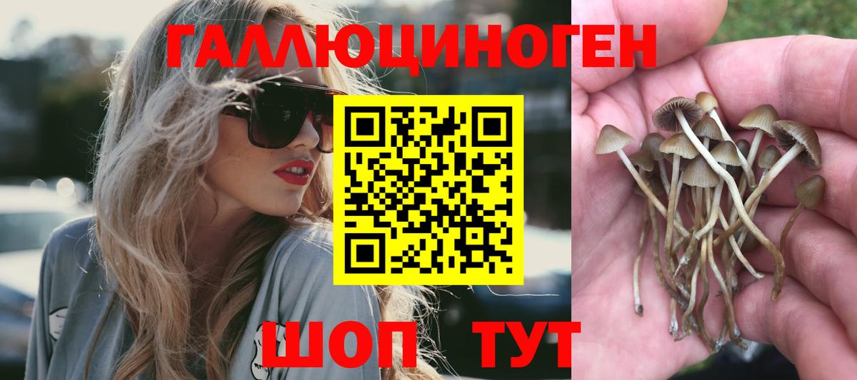 Псилоцибиновые грибы Magic Shrooms Строитель